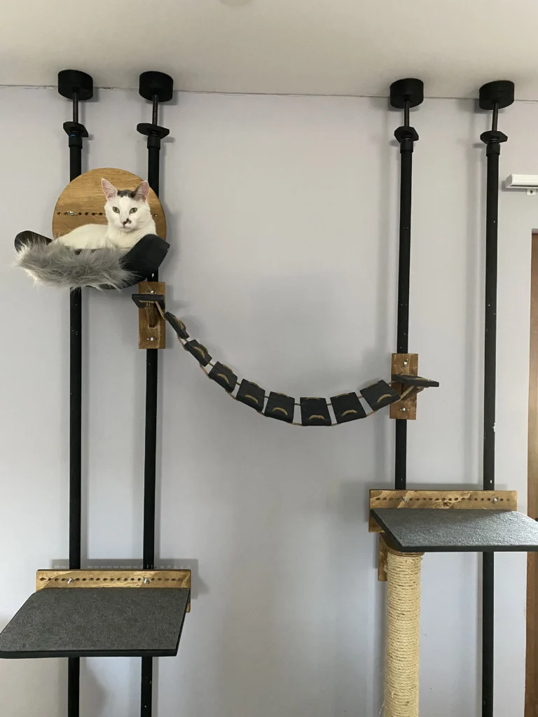 Rascadores Modulares